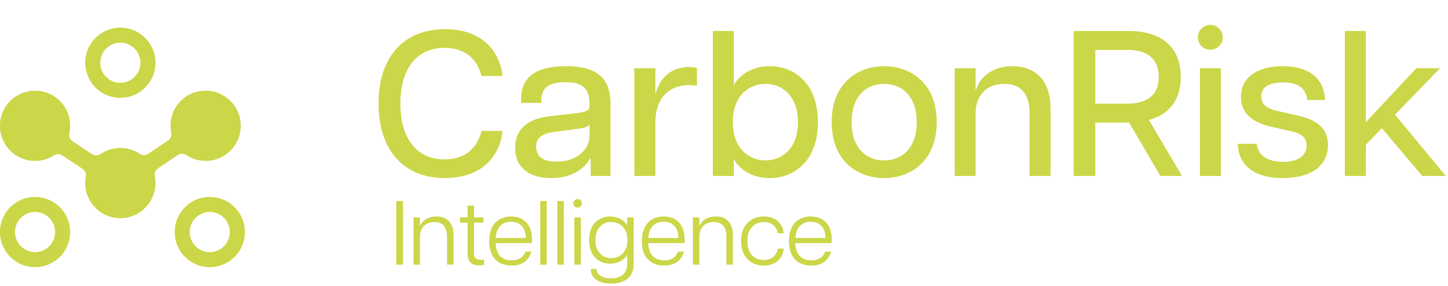 Carbon Risk